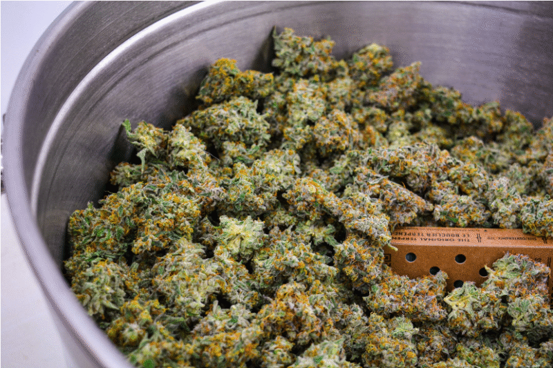 Best Weed in Ontario: Top Selling Flower Strains