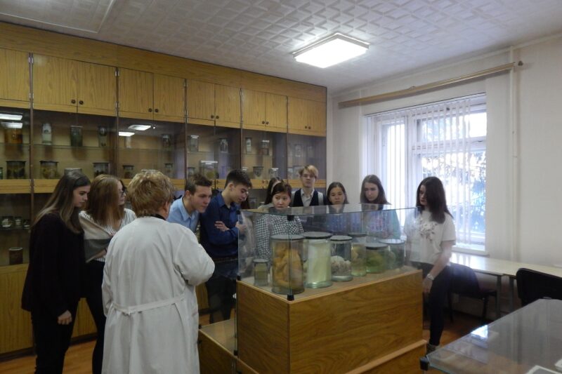 How Much Does It Cost to Study MBBS in Georgia?