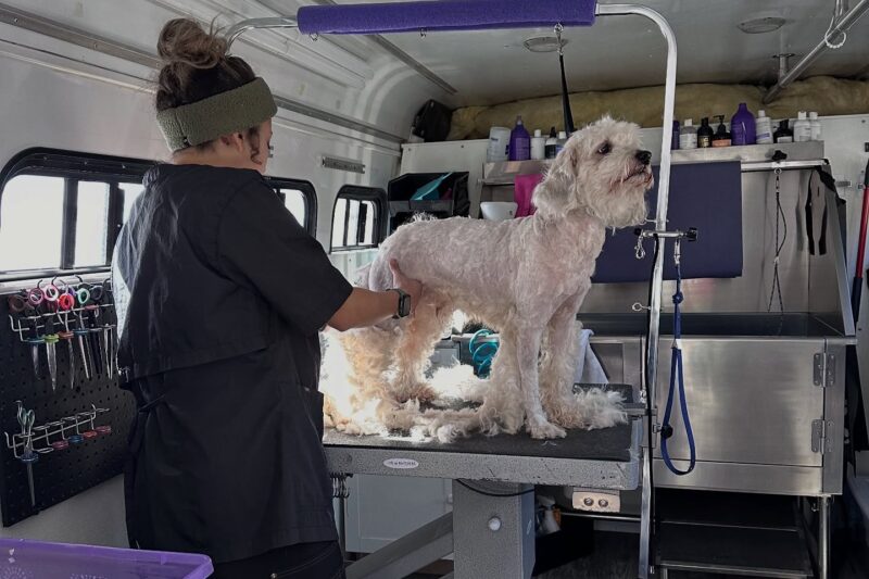 Mobile Pet Grooming In Ruskin: Convenient and Stress-Free Care for Your Pets
