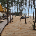 Screenshot 2026-03-31 000042