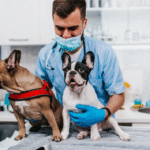 Screenshot 2026-03-31 010414