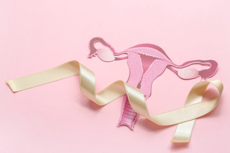 Hormonal Influence on Calcified Uterine Leiomyoma Growth