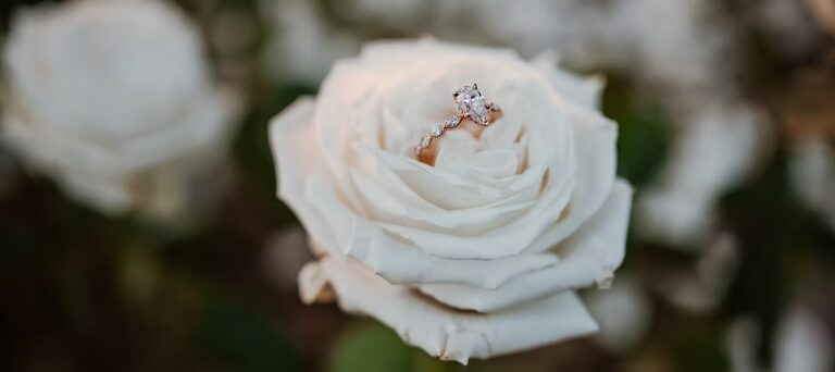 Elopements Anna Maria