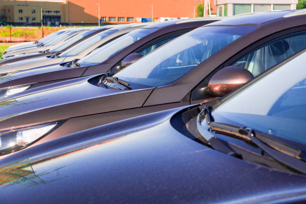 chauffeur service Parkland FL