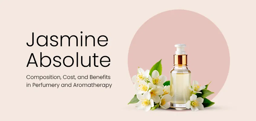 jasmine absolute perfume