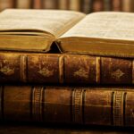 literary fiction author