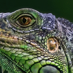 imgi_45_Image by Nitty Ditty