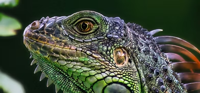 imgi_45_Image by Nitty Ditty